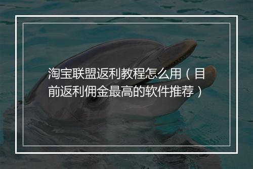 淘宝联盟返利教程怎么用（目前返利佣金最高的软件推荐）