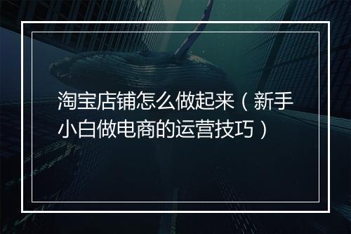 淘宝店铺怎么做起来（新手小白做电商的运营技巧）
