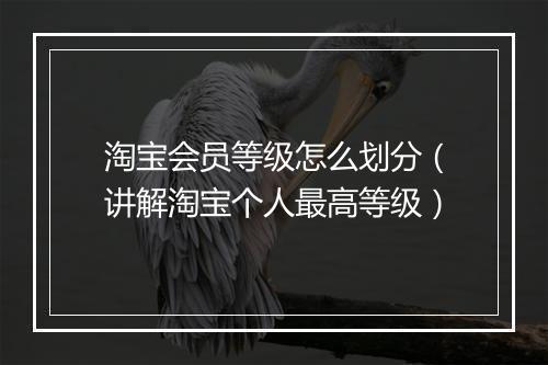 淘宝会员等级怎么划分（讲解淘宝个人最高等级）
