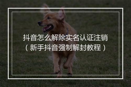 抖音怎么解除实名认证注销（新手抖音强制解封教程）