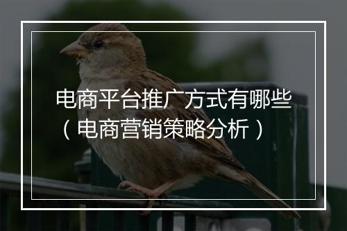 电商平台推广方式有哪些（电商营销策略分析）