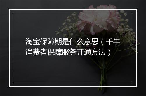 淘宝保障期是什么意思（千牛消费者保障服务开通方法）