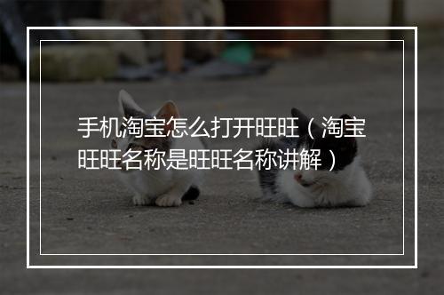 手机淘宝怎么打开旺旺（淘宝旺旺名称是旺旺名称讲解）