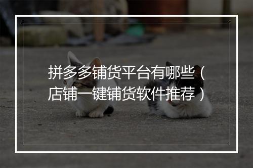 拼多多铺货平台有哪些（店铺一键铺货软件推荐）