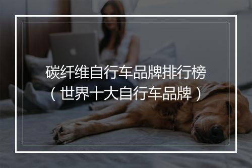 碳纤维自行车品牌排行榜（世界十大自行车品牌）