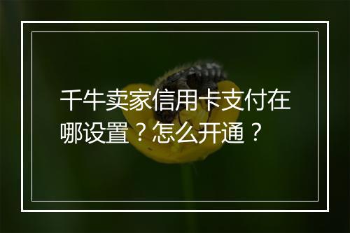 千牛卖家信用卡支付在哪设置？怎么开通？