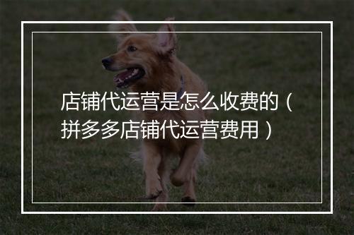 店铺代运营是怎么收费的（拼多多店铺代运营费用）