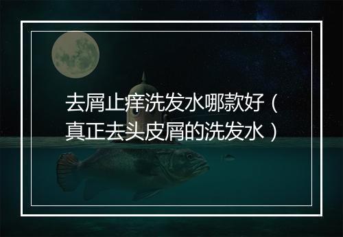 去屑止痒洗发水哪款好（真正去头皮屑的洗发水）