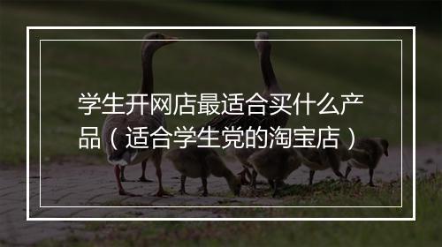 学生开网店最适合买什么产品（适合学生党的淘宝店）