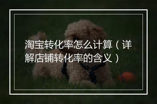 淘宝转化率怎么计算（详解店铺转化率的含义）