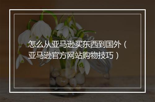 怎么从亚马逊买东西到国外（亚马逊官方网站购物技巧）