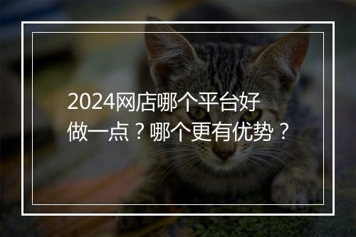 2024网店哪个平台好做一点？哪个更有优势？