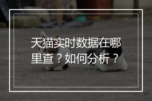 天猫实时数据在哪里查？如何分析？