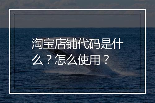 淘宝店铺代码是什么？怎么使用？