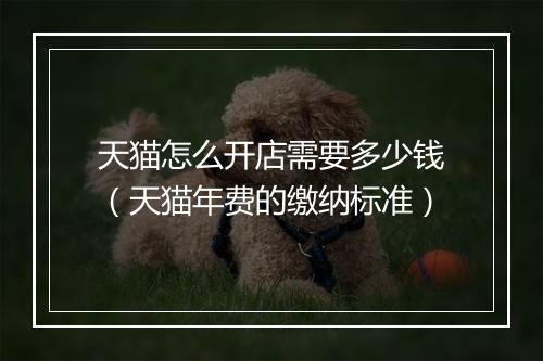 天猫怎么开店需要多少钱（天猫年费的缴纳标准）