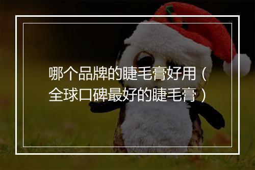 哪个品牌的睫毛膏好用（全球口碑最好的睫毛膏）