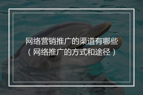 网络营销推广的渠道有哪些（网络推广的方式和途径）