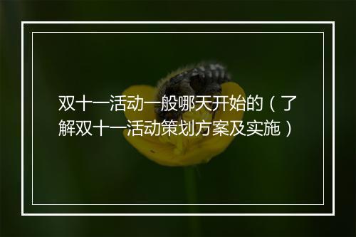 双十一活动一般哪天开始的（了解双十一活动策划方案及实施）