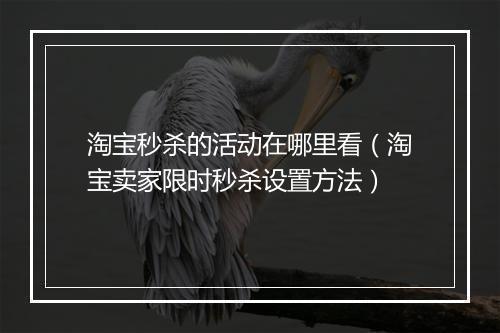 淘宝秒杀的活动在哪里看（淘宝卖家限时秒杀设置方法）
