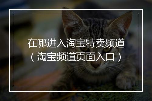 在哪进入淘宝特卖频道（淘宝频道页面入口）