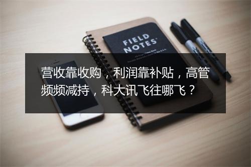 营收靠收购，利润靠补贴，高管频频减持，科大讯飞往哪飞？