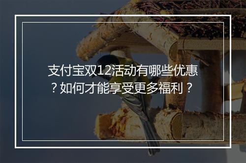 支付宝双12活动有哪些优惠？如何才能享受更多福利？