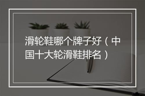 滑轮鞋哪个牌子好（中国十大轮滑鞋排名）