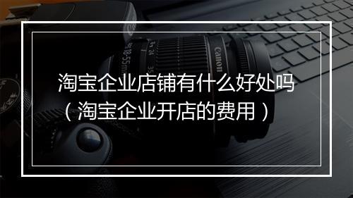 淘宝企业店铺有什么好处吗（淘宝企业开店的费用）