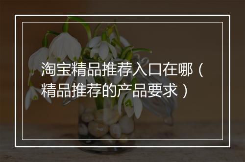 淘宝精品推荐入口在哪（精品推荐的产品要求）