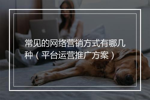 常见的网络营销方式有哪几种（平台运营推广方案）