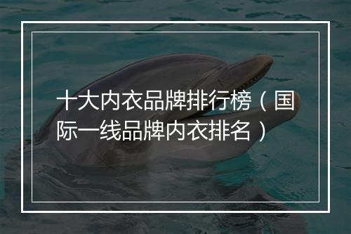 十大内衣品牌排行榜（国际一线品牌内衣排名）