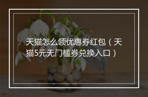 天猫怎么领优惠券红包（天猫5元无门槛券兑换入口）