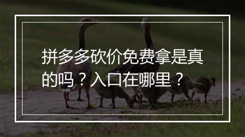 拼多多砍价免费拿是真的吗？入口在哪里？