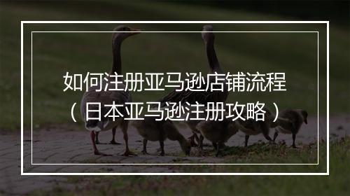 如何注册亚马逊店铺流程（日本亚马逊注册攻略）