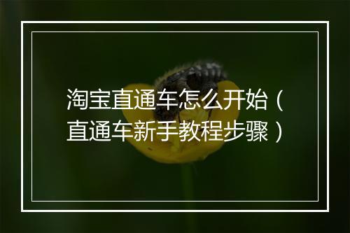 淘宝直通车怎么开始（直通车新手教程步骤）