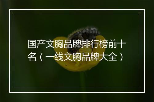 国产文胸品牌排行榜前十名（一线文胸品牌大全）