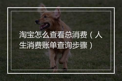 淘宝怎么查看总消费（人生消费账单查询步骤）