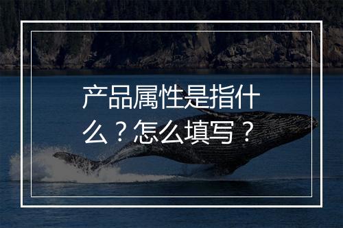 产品属性是指什么？怎么填写？