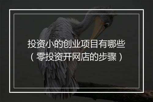 投资小的创业项目有哪些（零投资开网店的步骤）