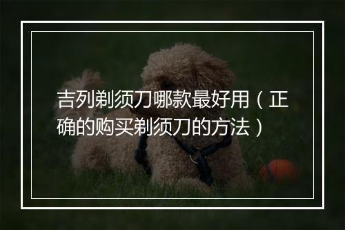 吉列剃须刀哪款最好用（正确的购买剃须刀的方法）