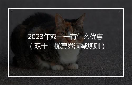 2023年双十一有什么优惠（双十一优惠券满减规则）