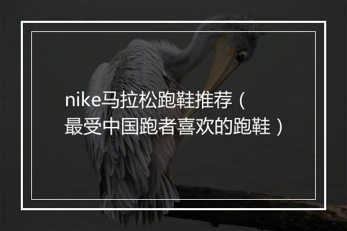 nike马拉松跑鞋推荐（最受中国跑者喜欢的跑鞋）