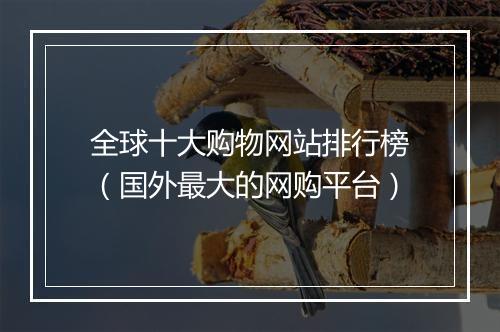 全球十大购物网站排行榜（国外最大的网购平台）