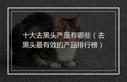 十大去黑头产品有哪些（去黑头最有效的产品排行榜）