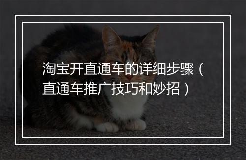 淘宝开直通车的详细步骤（直通车推广技巧和妙招）