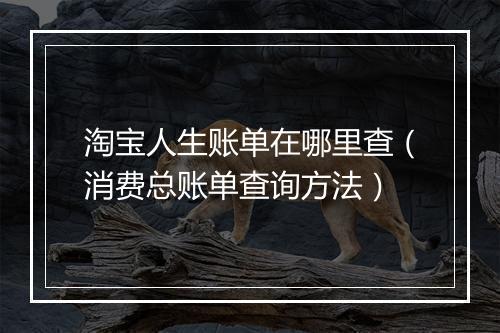 淘宝人生账单在哪里查（消费总账单查询方法）