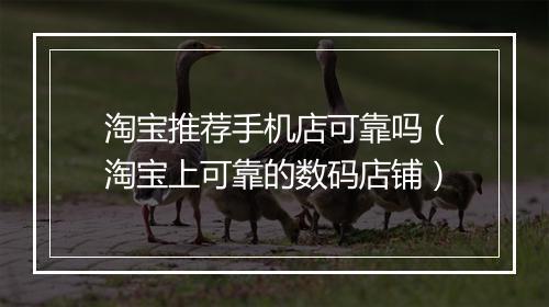 淘宝推荐手机店可靠吗（淘宝上可靠的数码店铺）