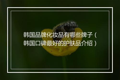 韩国品牌化妆品有哪些牌子（韩国口碑最好的护肤品介绍）
