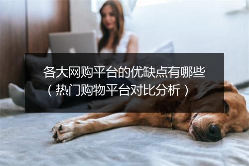 各大网购平台的优缺点有哪些（热门购物平台对比分析）