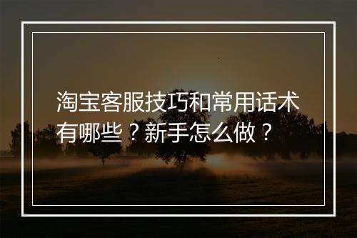 淘宝客服技巧和常用话术有哪些？新手怎么做？
